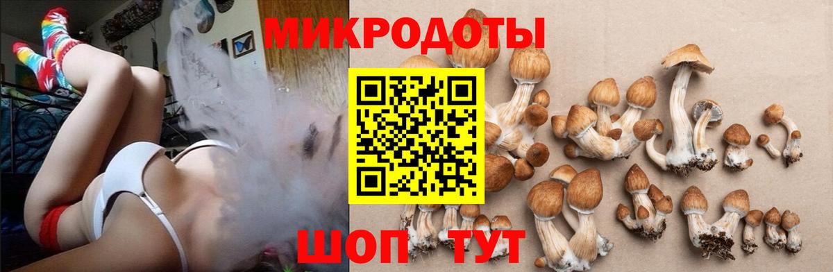 Шали  Псилоцибиновые грибы Psilocybine cubensis  Галлюциногенные грибы Psilocybine cubensis  Вход с VPN 